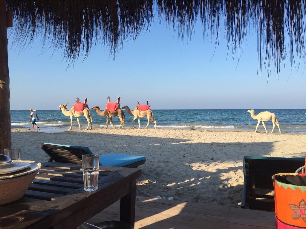 Hotel Djerba Orient Mezraia Exteriör bild
